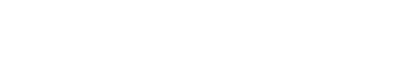 LanSweeper logo