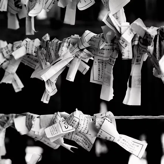 Omikuji paper strips tied at a Japanese temple